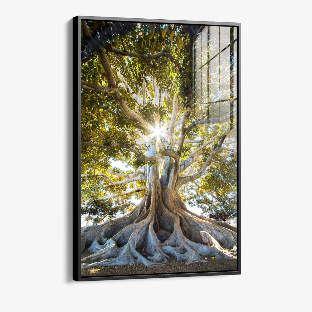 8.-Glass-Framed-Anchorlight