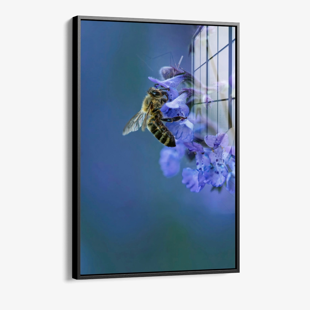 8.-Glass-Framed-Blue-Range-Work