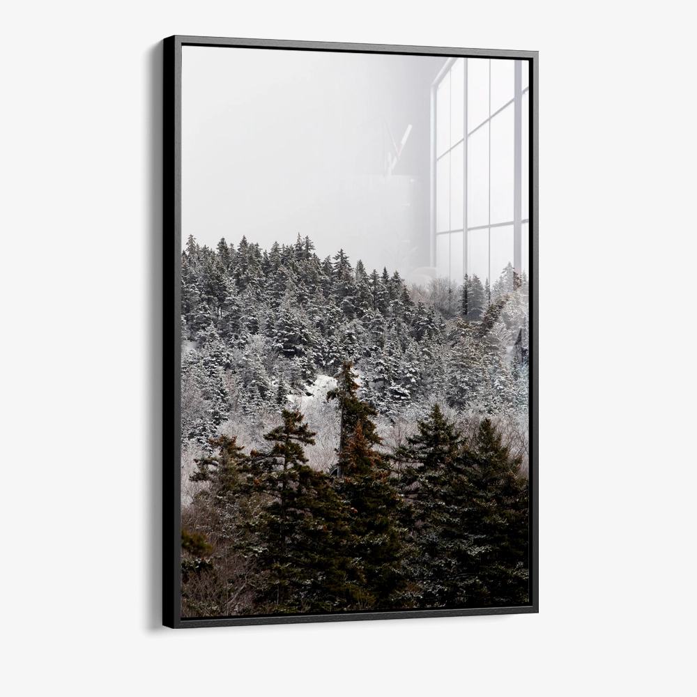 8.-Glass-Framed-Branchmark