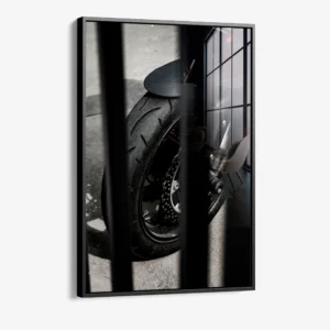8.-Glass-Framed-Caged-Speed