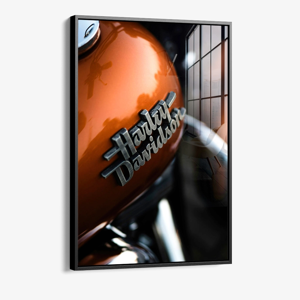 8.-Glass-Framed-Copper-Roar