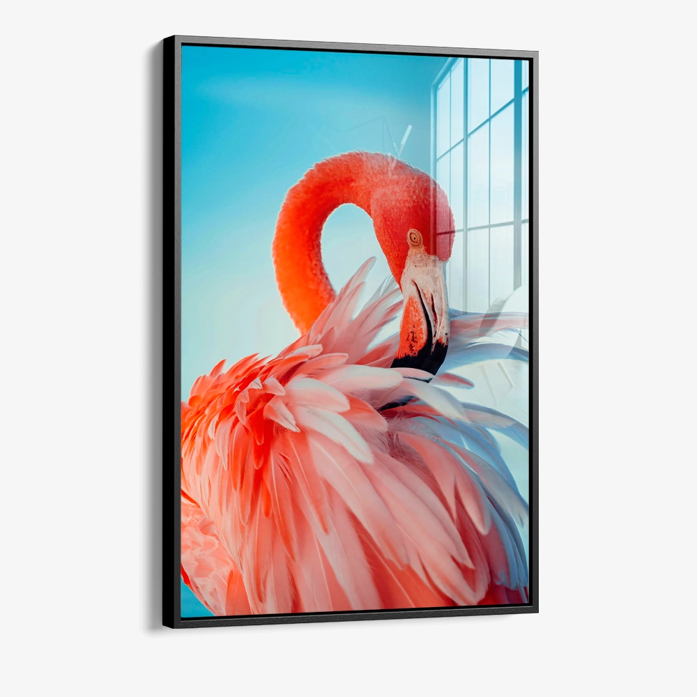 8.-Glass-Framed-Featherframe