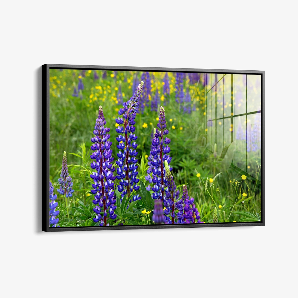 8.-Glass-Framed-Field-Cipher