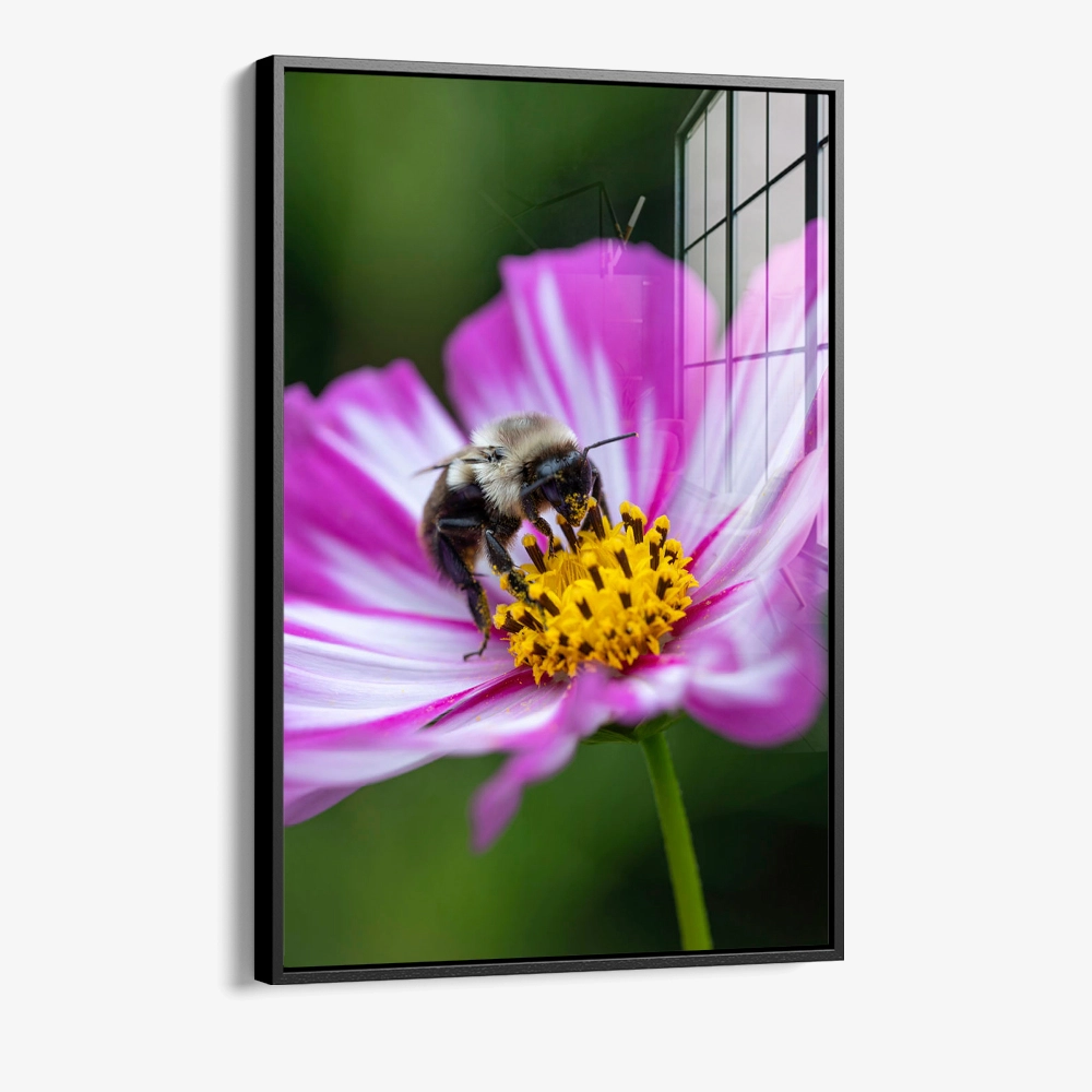8.-Glass-Framed-Flarepoint