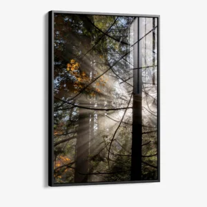 8.-Glass-Framed-Line-of-Light