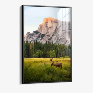 8.-Glass-Framed-Meadow-Accord