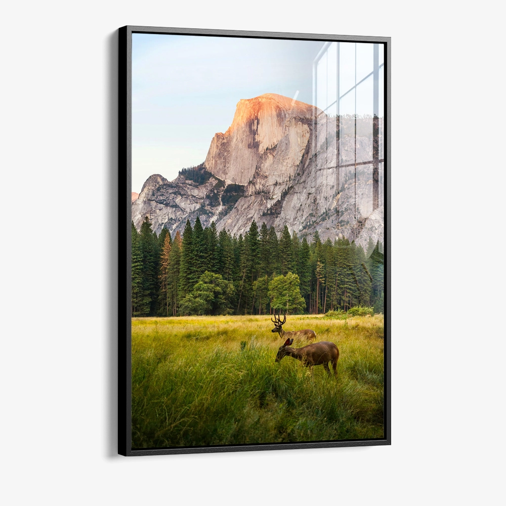 8.-Glass-Framed-Meadow-Accord