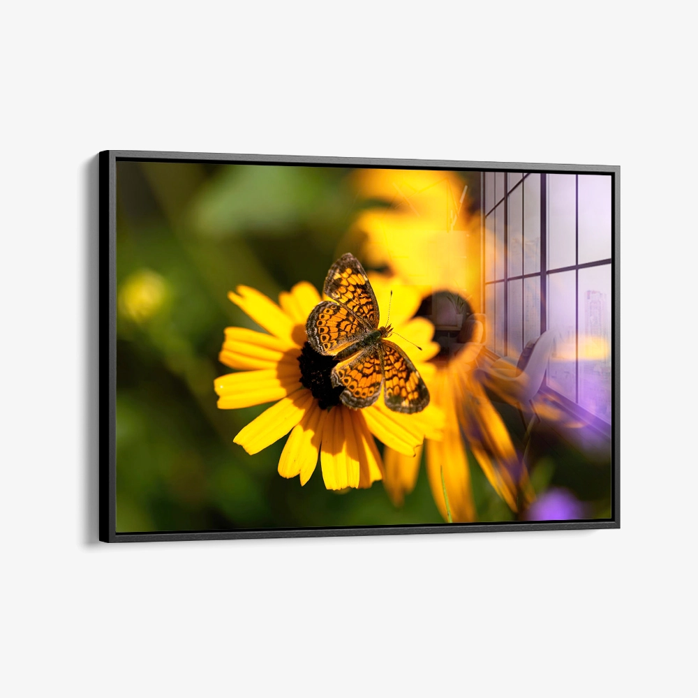 8.-Glass-Framed-Petal-Circuit