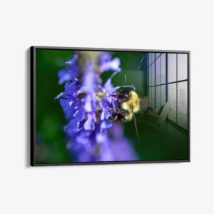 8.-Glass-Framed-Purple-Run