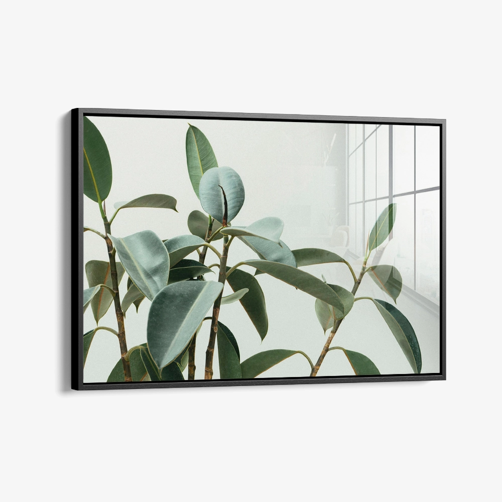 8.-Glass-Framed-Soft-Structure