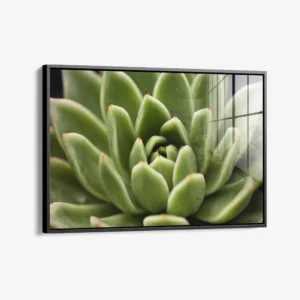 8.-Glass-Framed-Thorn-Array