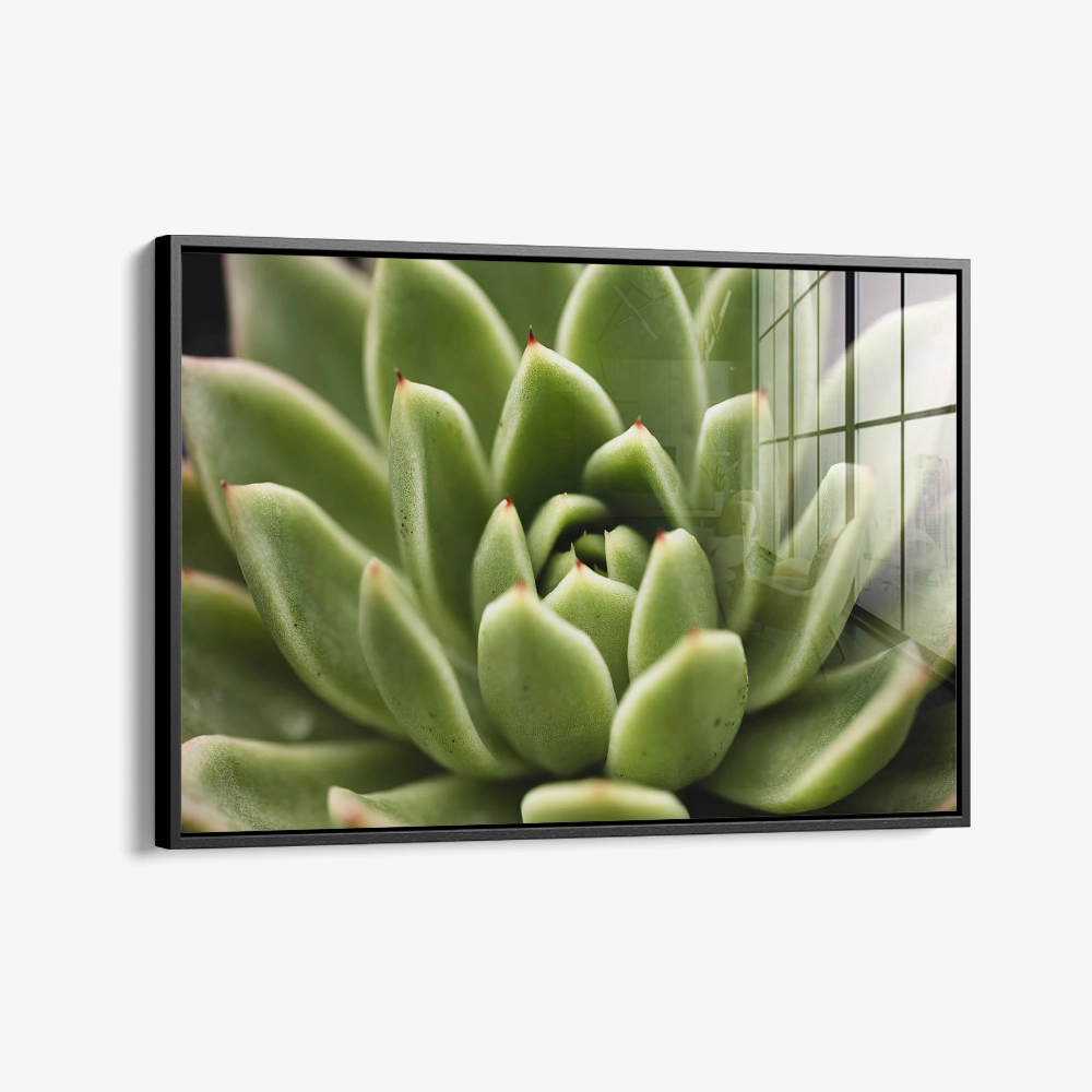 8.-Glass-Framed-Thorn-Array