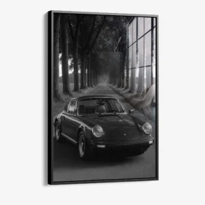 8.-Glass-Framed-Treeline-Porsche