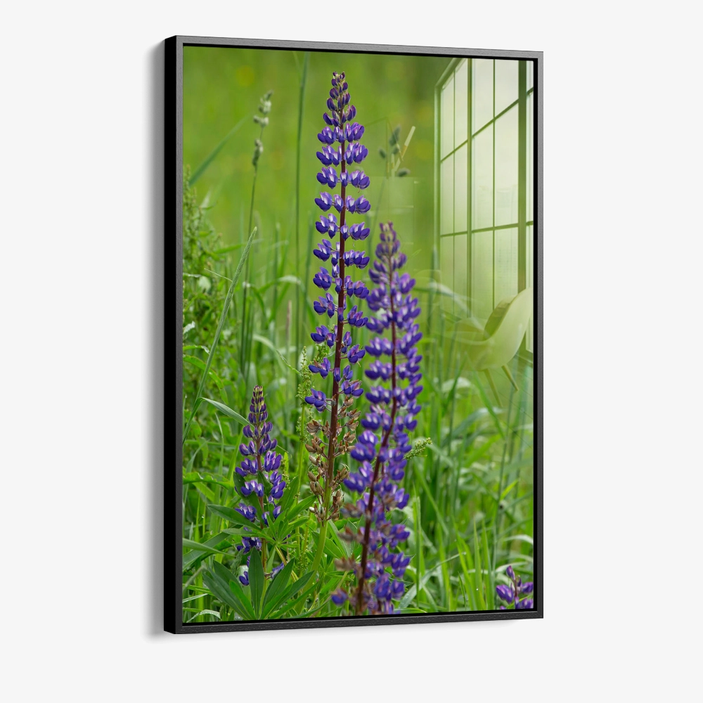 8.-Glass-Framed-Upright-Signal