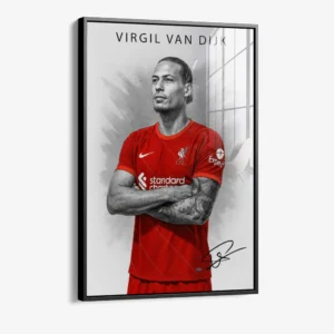 8.-Glass-Framed-Virgil-van-Dijk