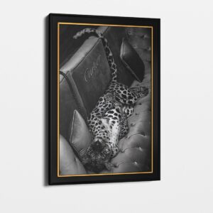 Luxury-Jag-2.jpg