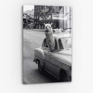 10383500_cover