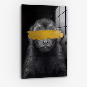 10383593_cover