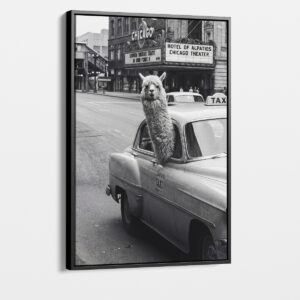 18103500_cover
