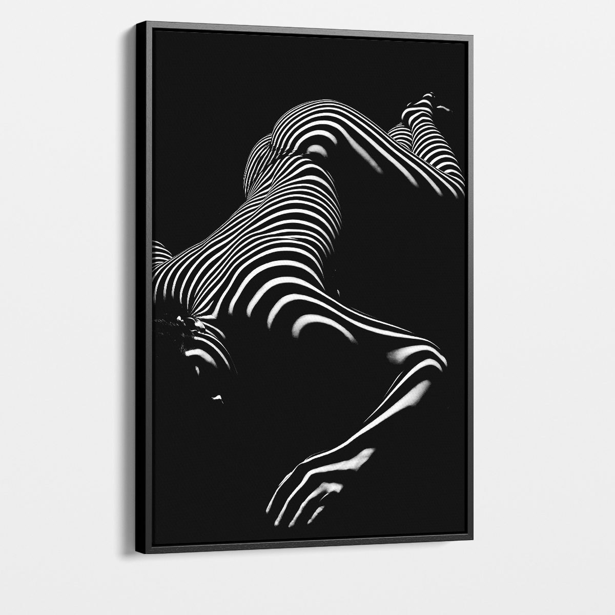 18103543_cover