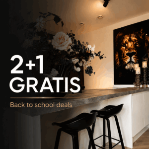 Back to School – 2+1 GRATIS