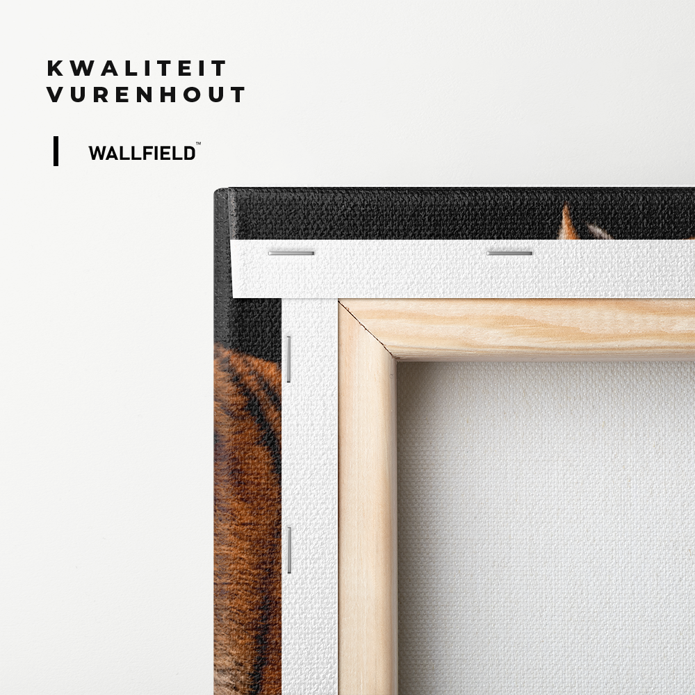 18103674 (4)