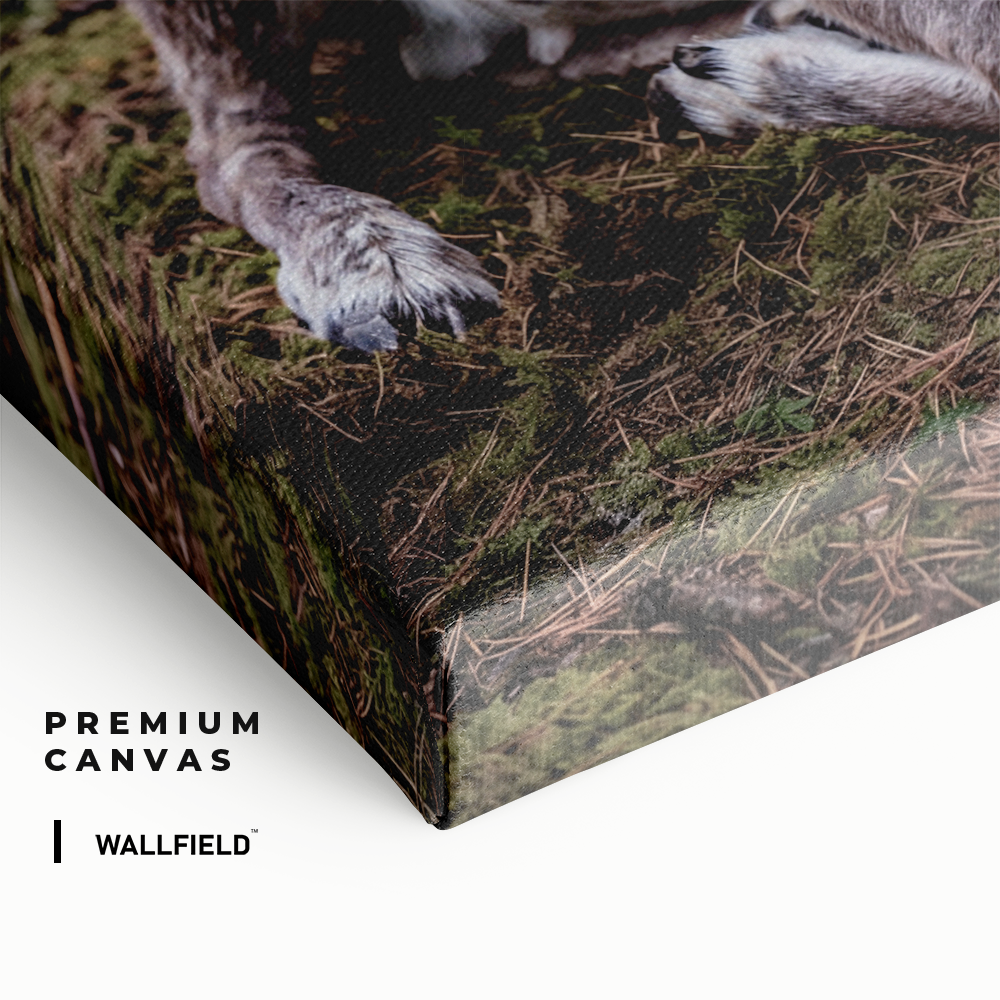 3698 (3)